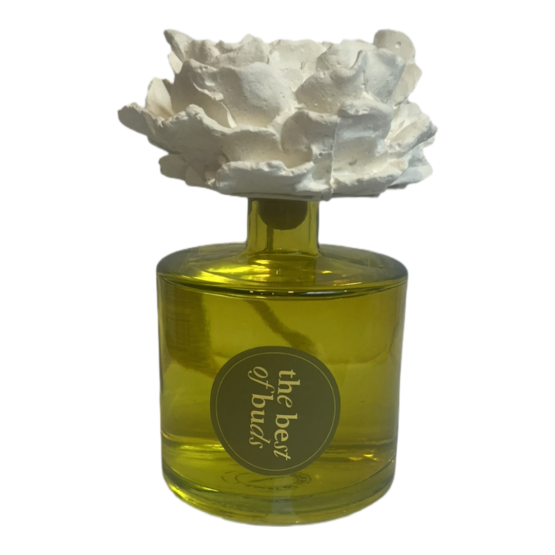 Exclusive Home Diffusers